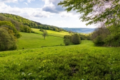 View over the Wye Valley