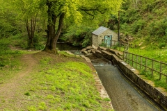 Outflow from Cannop Ponds, Forest of Dean