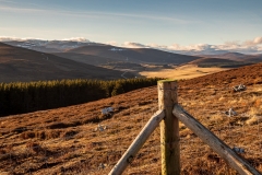 Aberdeenshire Hills