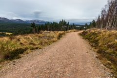 Track to Ryvoan Bothy