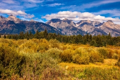 Blacktail Ponds Overlook