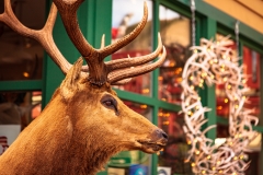 Stuffed Elk