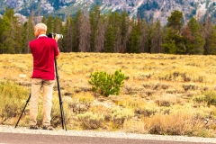 Wildlife spotting