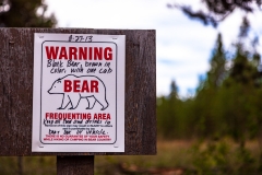 Warning! Bear!