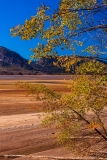 Jackson Lake