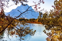 Oxbow Bend Turnout