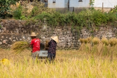 Jiuxiang farmers