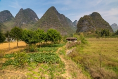 Limestone landscape