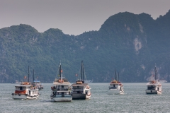 Tour boat flotilla, Ha Long Bay
