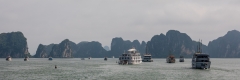 Tour boat flotilla, Ha Long Bay