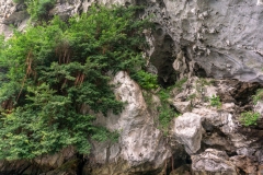 Limestone formation, Ha Long Bay
