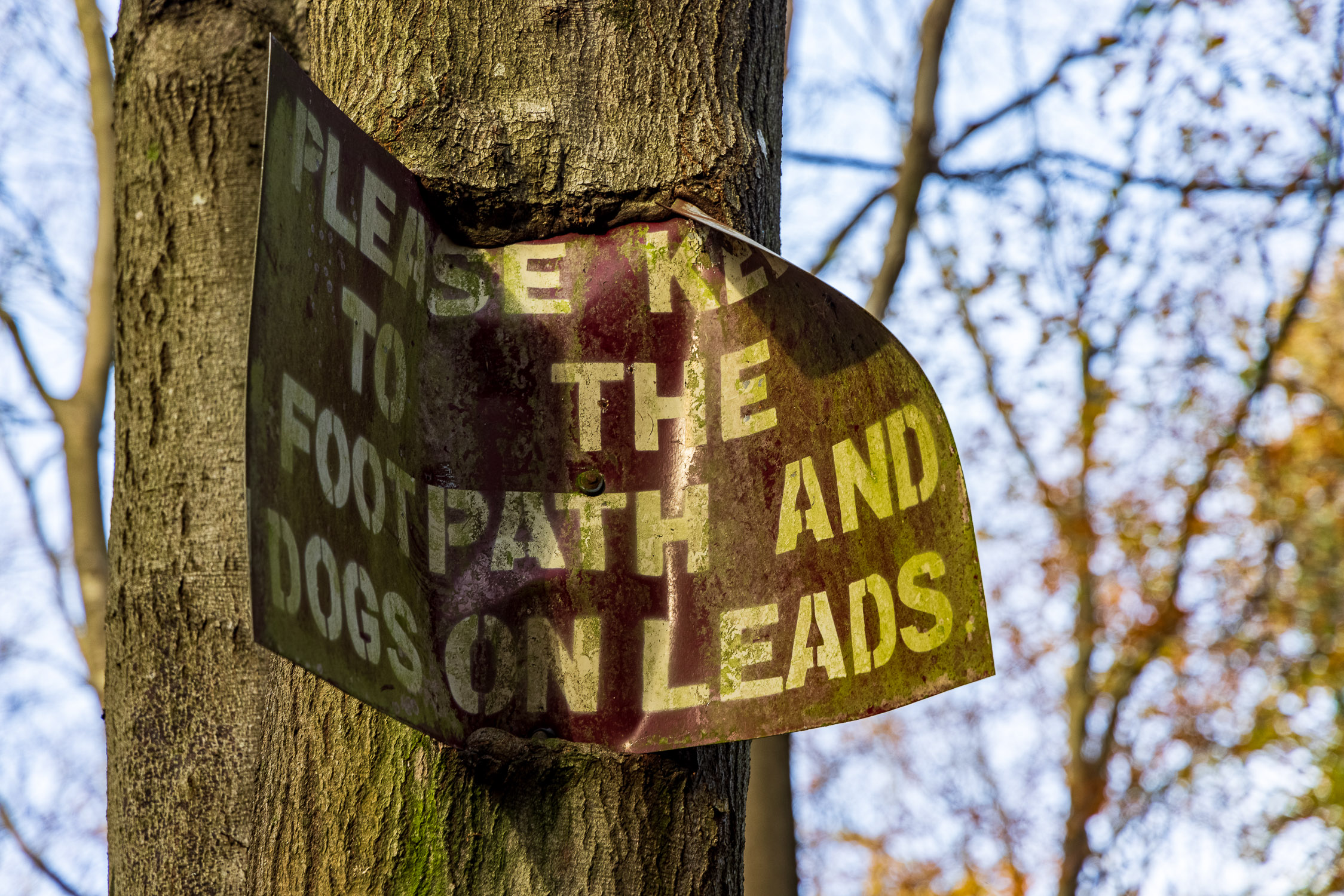 Warning sign on a woodland footpath