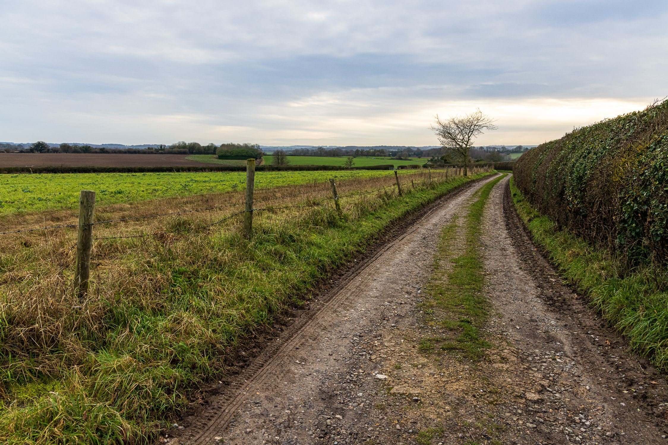 Hampshire farm track