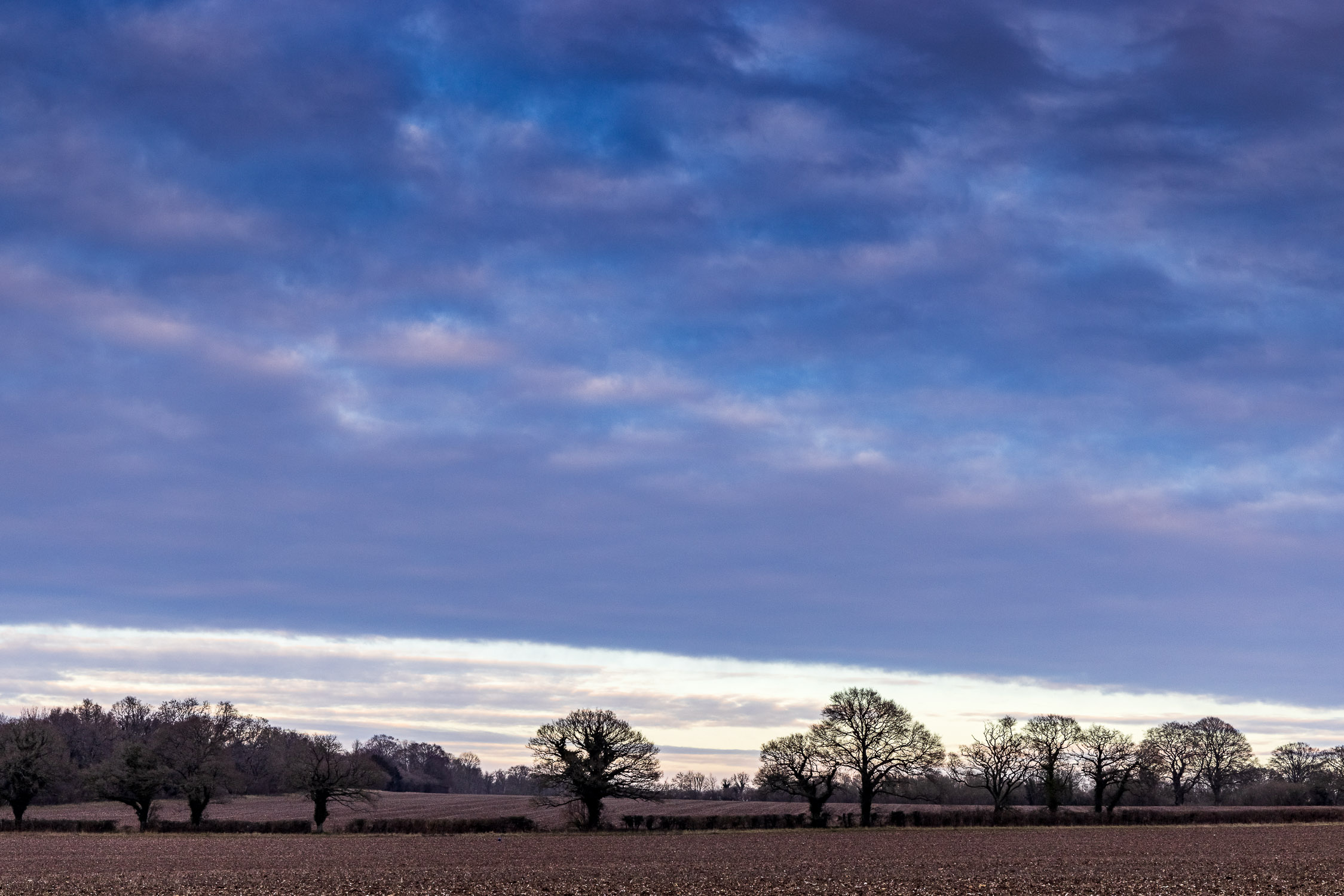 Dusky sky over a Hampshire field