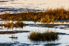 Calshot Marshes Nature Reserve