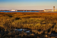 Calshot Marshes Nature Reserve