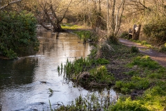 River Itchen, Bishopstoke