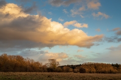 Late afternoon, Itchen valley