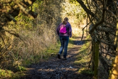 Ildi beside the Itchen Navigation