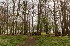 St Catherine's Hill, Winchester