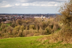 View from St. Catherine's Hill, Winchester