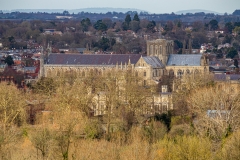 View from St. Catherine's Hill, Winchester