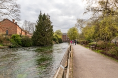 River Itchen, Winchester