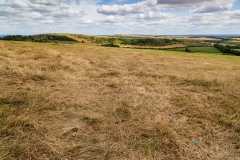 Fields and hills, Ashmansworth