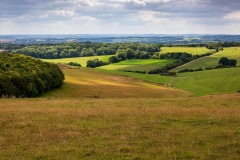 Patchwork fields, Ashmansworth