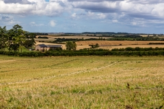 Hampshire countryside