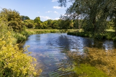 River Test near Horsebridge