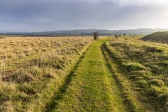 Track alongside Bokerley Ditch