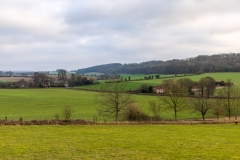 Hambledon countryside
