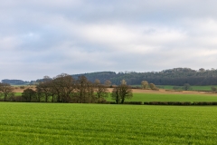 Fields, trees and hills