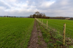 Across the field