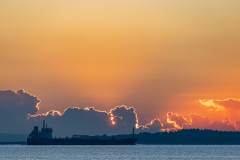 Sailing into the fire
