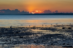 Fire in the sky