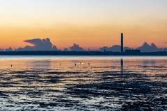 Nature and industry