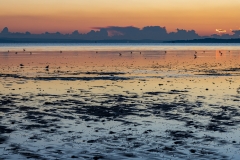 Sunset and mud