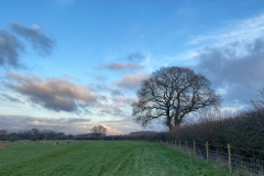 Dusk over the Hampshire countryside