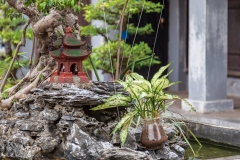 Bonsai garden, Temple of Literature