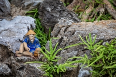 Bonsai garden, Temple of Literature