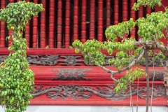 Bonsai garden, Temple of Literature