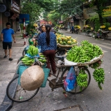 Hanoi Flower Market Street