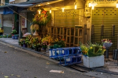 Hanoi Flower Market Street