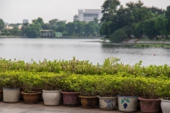Thong Nhat Park