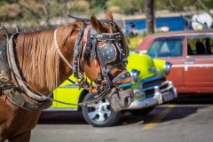 Choice of transport