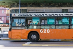 Vedado bus
