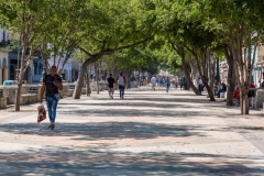 Walking the Prado