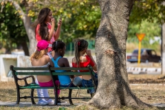 Havana children